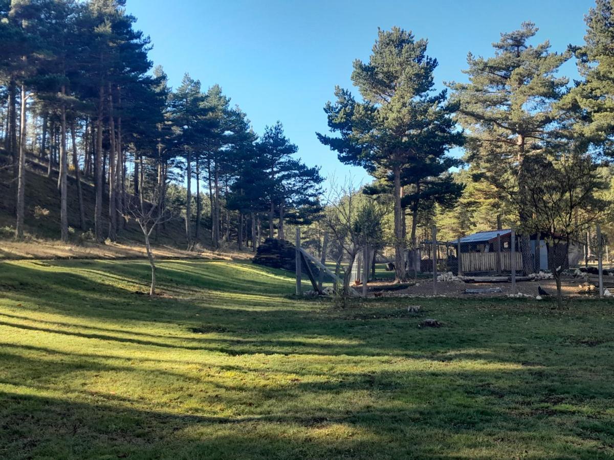 Domaine De L'Auspeliere Hotel Greolieres Buitenkant foto